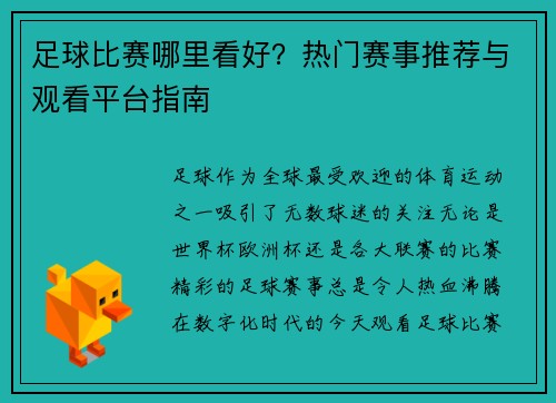 足球比赛哪里看好？热门赛事推荐与观看平台指南