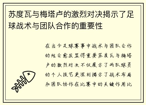 苏度瓦与梅塔卢的激烈对决揭示了足球战术与团队合作的重要性